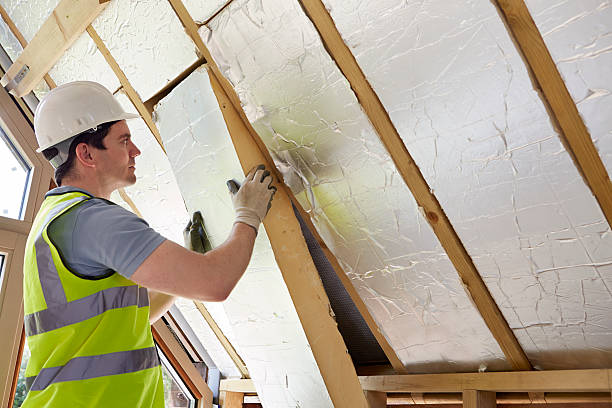 Best Cellulose Insulation in Alhambra, CA