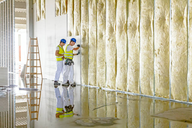 Types of Insulation We Offer in Alhambra, CA